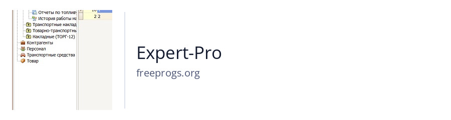 Expert-Pro