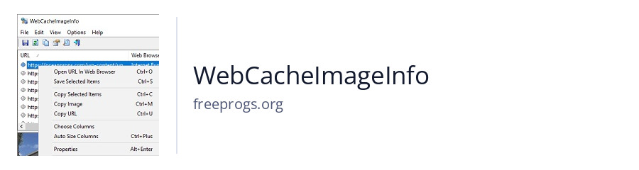 WebCacheImageInfo