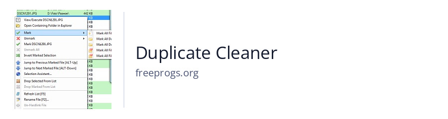 Duplicate Cleaner
