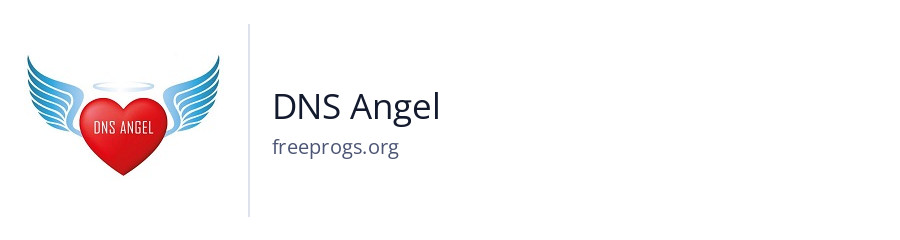 DNS Angel