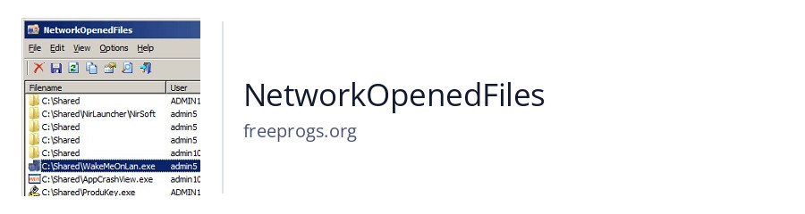 NetworkOpenedFiles