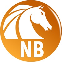 AKVIS Noise Buster v11.1