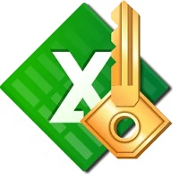 Accent Excel Password Recovery v20.09