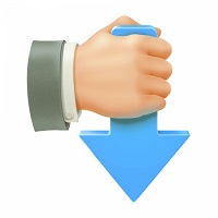 Download Master v7.3