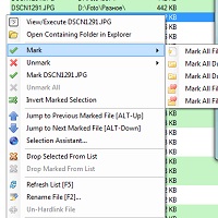 Duplicate Cleaner v4.1.2 Free / 5.24 Pro