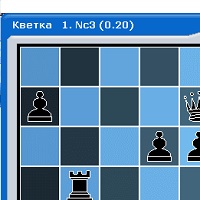 Кветка v4.1.1