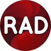 RAD Studio v11.3