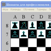 Шахматы для Профессионалов v1.34