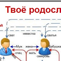 Твоё родословное дерево v22.12