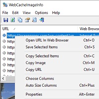 WebCacheImageInfo v1.36