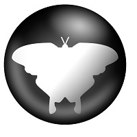 Qmmp v0.12.22 / 1.7.11 / 2.4.0
